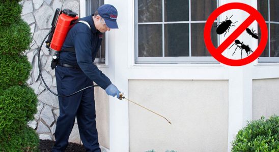 Sarıyer Tahtakurusu İlaçlama böcek ilaçlama ve haşere kontrolü — ilaclama-tr.com